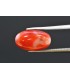 3.98 cts Natural Coral - Moonga (SKU:90160257)