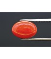 4.28 cts Natural Coral (Moonga)