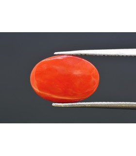 4.28 cts Natural Coral - Moonga (SKU:90160264)