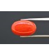 6.94 cts Natural Coral (Moonga)