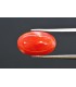 6.94 cts Natural Coral - Moonga (SKU:90160271)
