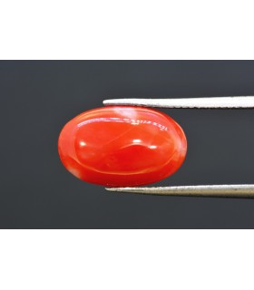 6.94 cts Natural Coral - Moonga (SKU:90160271)