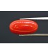 7.08 cts Natural Coral (Moonga)