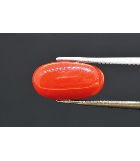 5.59 cts Natural Coral (Moonga)
