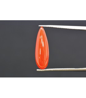 3.57 cts Natural Coral (Moonga)