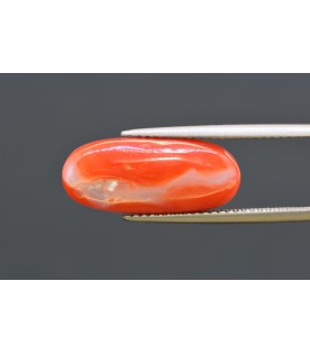 7.60 cts Natural Coral - Moonga (SKU:90160325)
