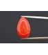 5.46 cts Natural Coral (Moonga)