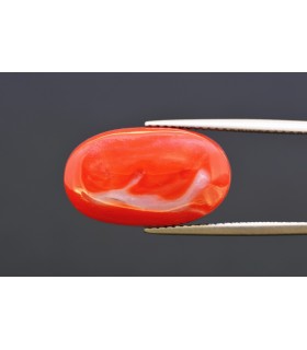 13.34 cts Natural Coral - Moonga (SKU:90160356)