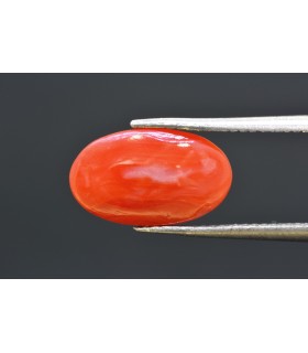 3.90 cts Natural Coral - Moonga (SKU:90160394)