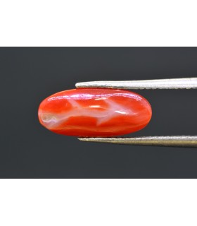 3.93 cts Natural Coral - Moonga (SKU:90160424)