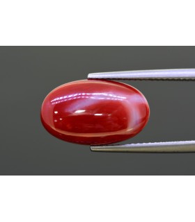 8.98 cts Natural Coral - Moonga (SKU:90160851)