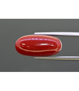 10.7 cts Natural Coral (Moonga)