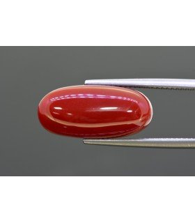 10.7 cts Natural Coral (Moonga)