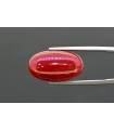 9.94 cts Natural Coral (Moonga)