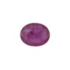 2.59 cts Natural Ruby (Manikya)