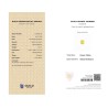 Guild Gem Lab Report for 6.62 cts Unheated Natural Yellow Sapphire (Pukhraj)