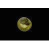 4.72 cts Natural Cats Eye (Lehsunia)