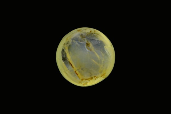 3.84 cts Natural Cats Eye (Lehsunia)