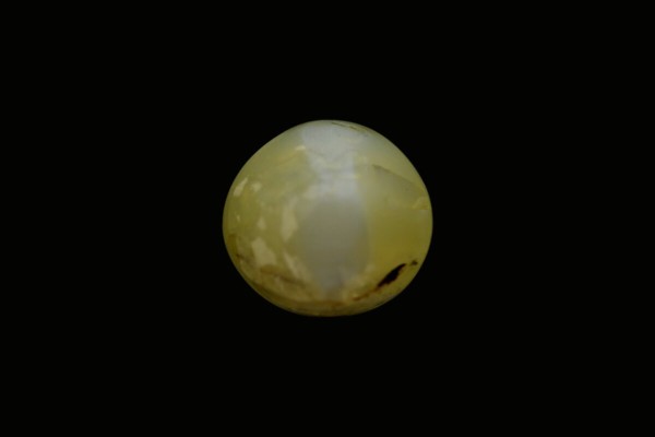 2.86 cts Natural Cats Eye (Lehsunia)