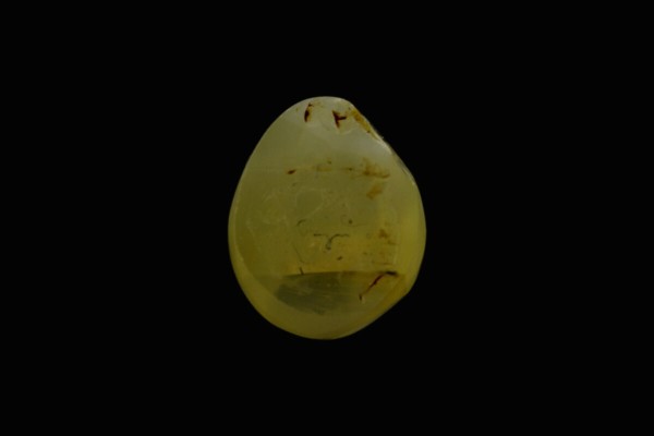 2.64 cts Natural Cats Eye (Lehsunia)