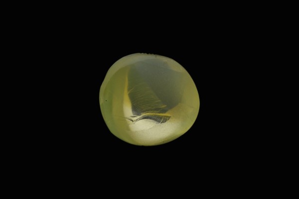 2.96 cts Natural Cats Eye (Lehsunia)
