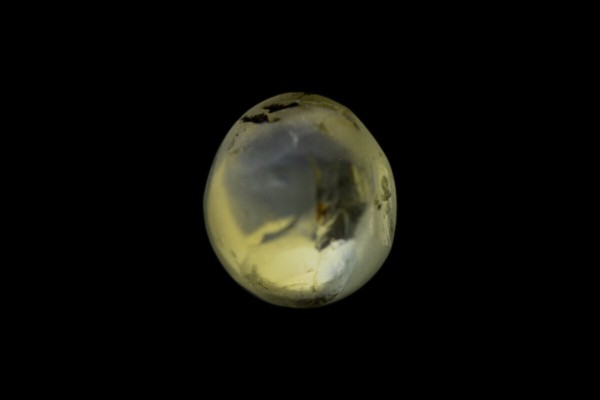 .77 ct Natural Cats Eye (Lehsunia)