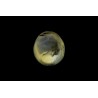 .77 ct Natural Cats Eye (Lehsunia)