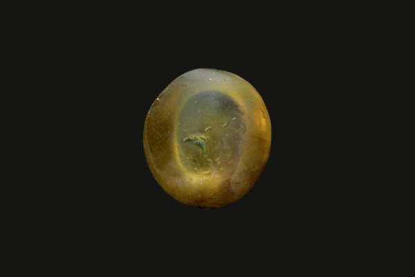 .9 ct Natural Cats Eye (Lehsunia)