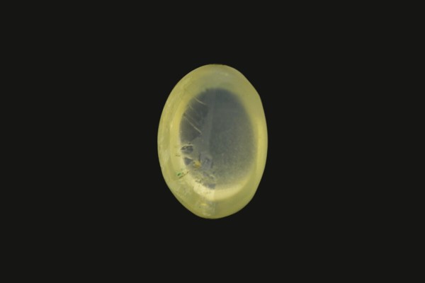 .78 ct Natural Cats Eye (Lehsunia)