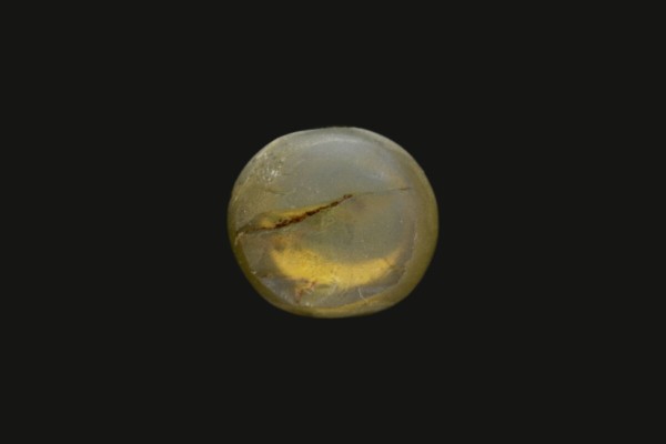 .82 ct Natural Cats Eye (Lehsunia)