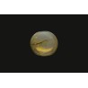.82 ct Natural Cats Eye (Lehsunia)