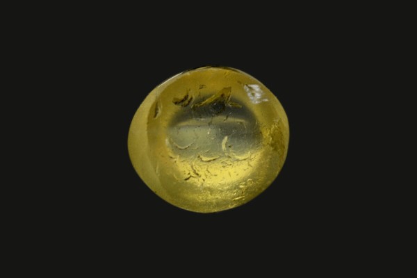 1.55 cts Natural Cats Eye (Lehsunia)