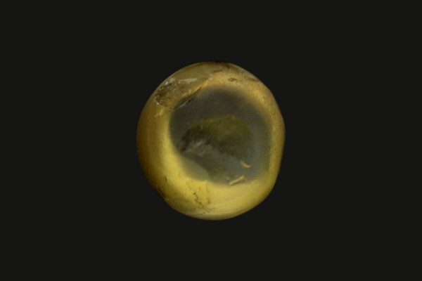 1.68 cts Natural Cats Eye (Lehsunia)