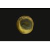 1.68 cts Natural Cats Eye (Lehsunia)