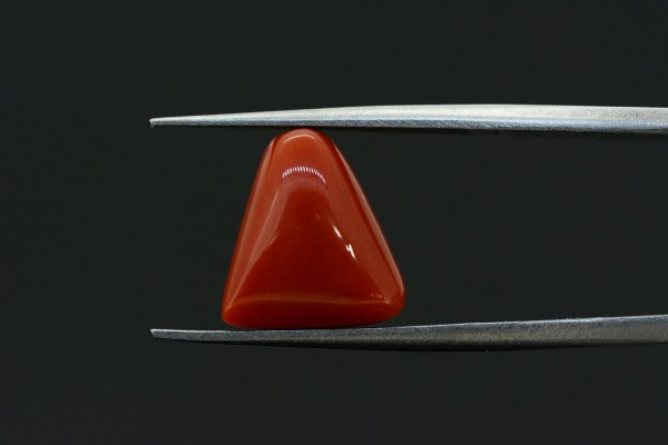5.02 cts Natural Coral (Moonga)