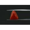 5.02 cts Natural Coral (Moonga)