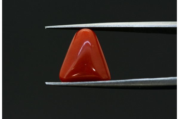 5.02 cts Natural Coral (Moonga)