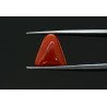 5.02 cts Natural Coral (Moonga)