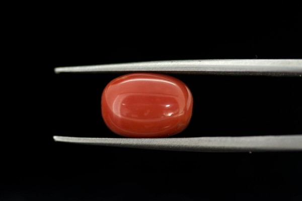 5.34 cts Natural Coral (Moonga)