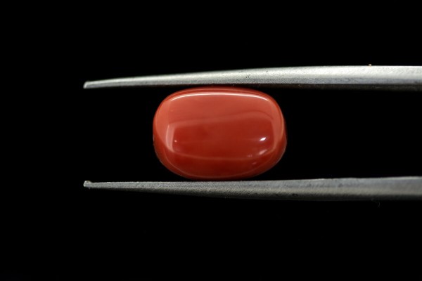 5.34 cts Natural Coral (Moonga)