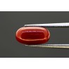 3.95 cts Natural Coral (Moonga)
