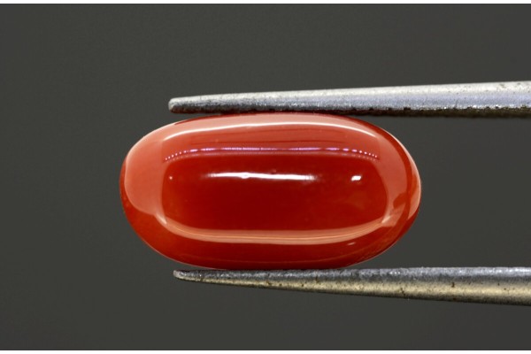 4.09 cts Natural Coral (Moonga)