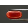 4.09 cts Natural Coral (Moonga)