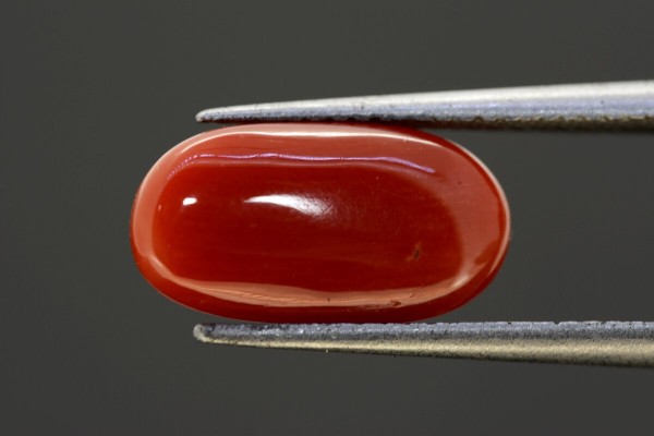 4.09 cts Natural Coral (Moonga)
