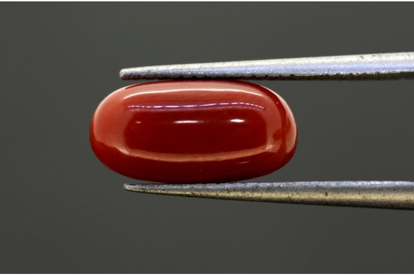 3.91 cts Natural Coral (Moonga)