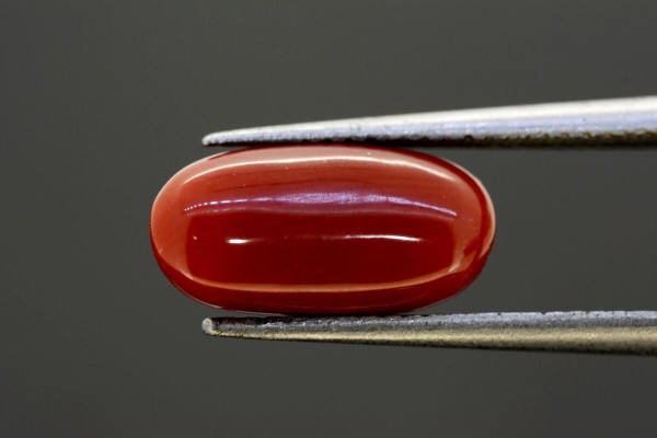3.91 cts Natural Coral (Moonga)