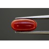 3.91 cts Natural Coral (Moonga)
