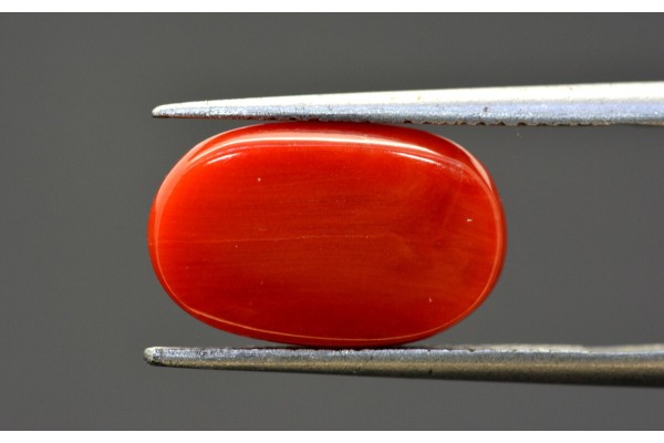 6.56 cts Natural Coral (Moonga)