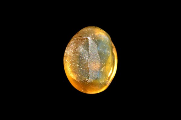 1.98 cts Natural Cats Eye (Lehsunia)