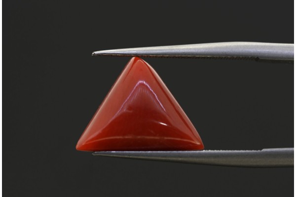 3.78 cts Natural Coral (Moonga)